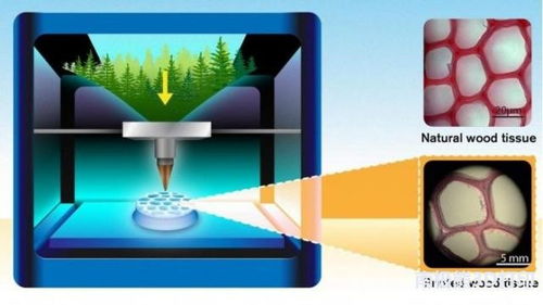 3D打印技术新突破 木制产品的革命性制造之路